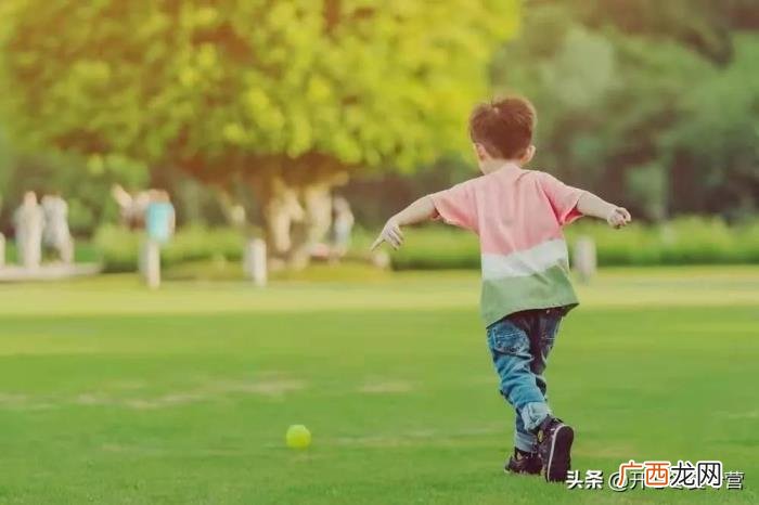 杨洋和金晨,害金晨近乎命丧马场、杨洋留下后遗症