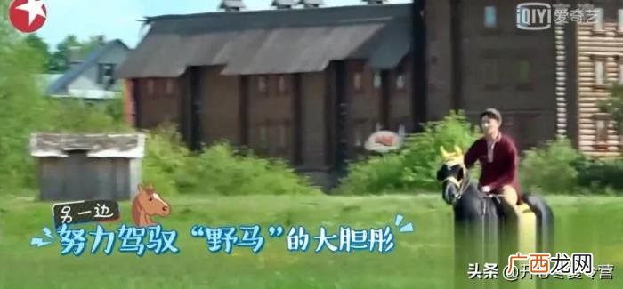 杨洋和金晨,害金晨近乎命丧马场、杨洋留下后遗症