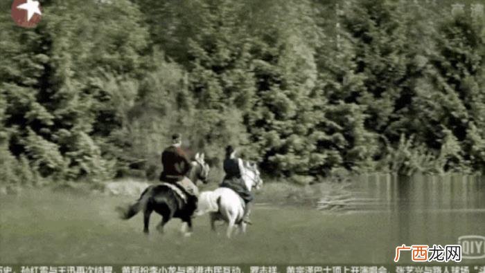 杨洋和金晨,害金晨近乎命丧马场、杨洋留下后遗症