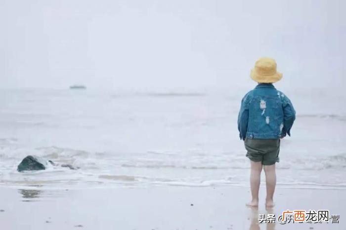 杨洋和金晨,害金晨近乎命丧马场、杨洋留下后遗症