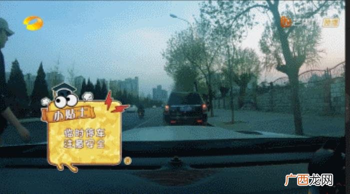 杨洋和金晨,害金晨近乎命丧马场、杨洋留下后遗症