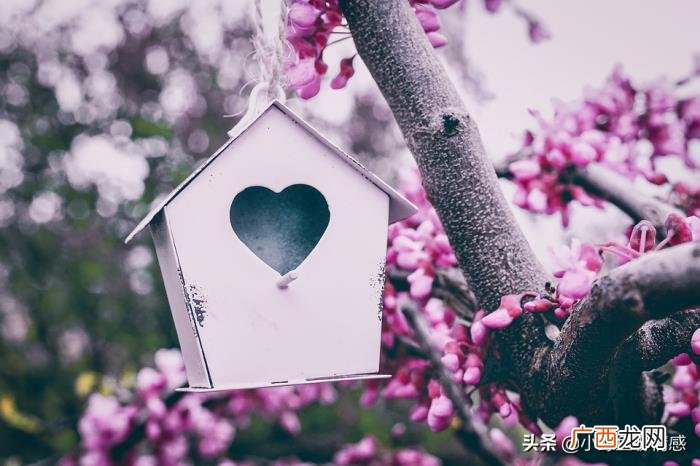 男人不够爱你的3个表现 男人这3个反常表现就是他想追你的征兆