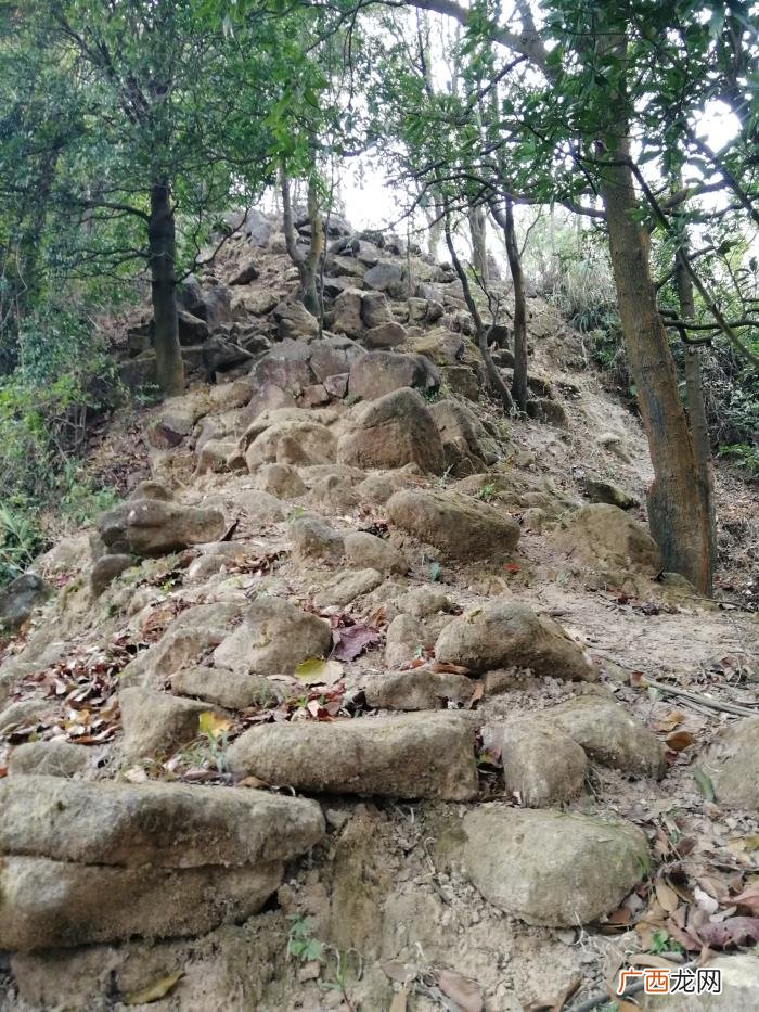 广州百花楼，岭南乡友快乐徒步广州增城百花林游记