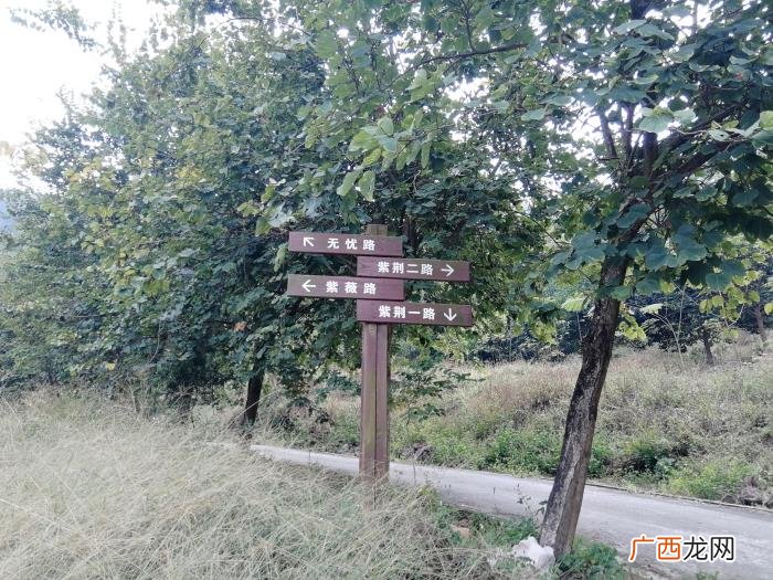 广州百花楼，岭南乡友快乐徒步广州增城百花林游记