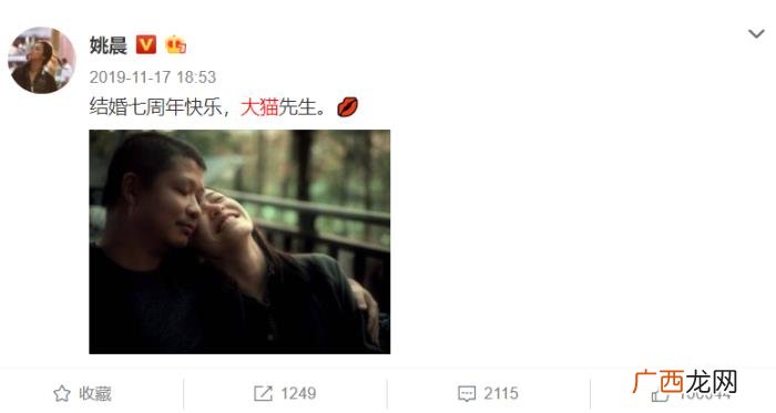 姚晨前老公，姚晨和前夫凌潇肃的故事可没那么简单