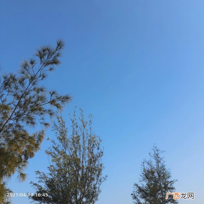 夏日海滩/海边文案 海边说说朋友圈