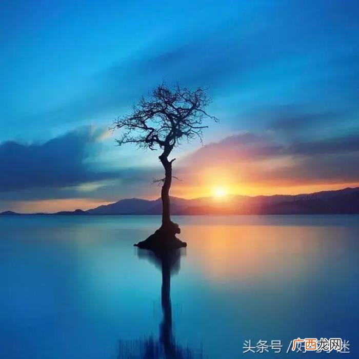 微信最火的个性签名 qq个性签名伤感超拽