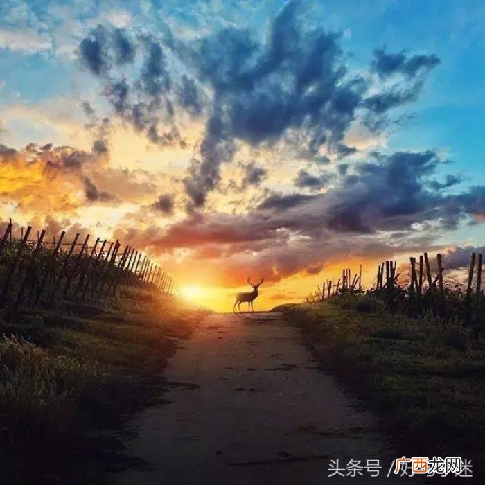 微信最火的个性签名 qq个性签名伤感超拽