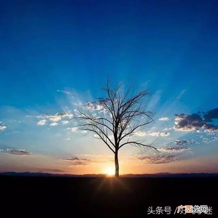 微信最火的个性签名 qq个性签名伤感超拽