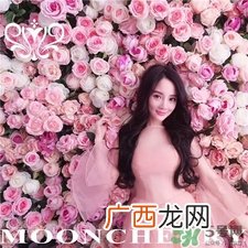 梦泉小粉瓶好用吗?梦泉小粉瓶怎么样?