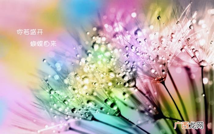 写给女朋友的情话感动，送给女朋友的温暖情话