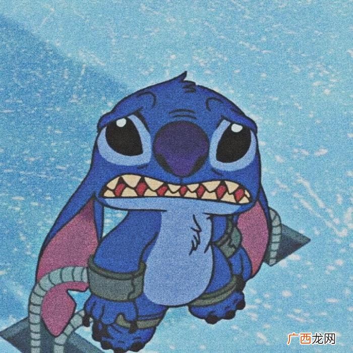 史迪奇头像，史迪奇壁纸--动漫壁纸/可爱风壁纸/可爱头像