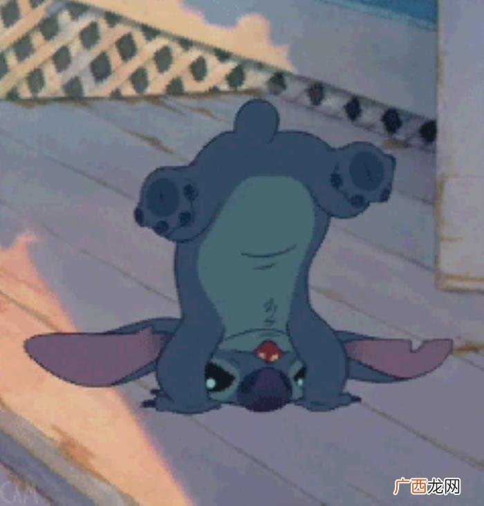 史迪奇头像，史迪奇壁纸--动漫壁纸/可爱风壁纸/可爱头像