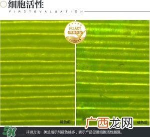 cpb保湿露多少钱？cpb保湿露专柜价格