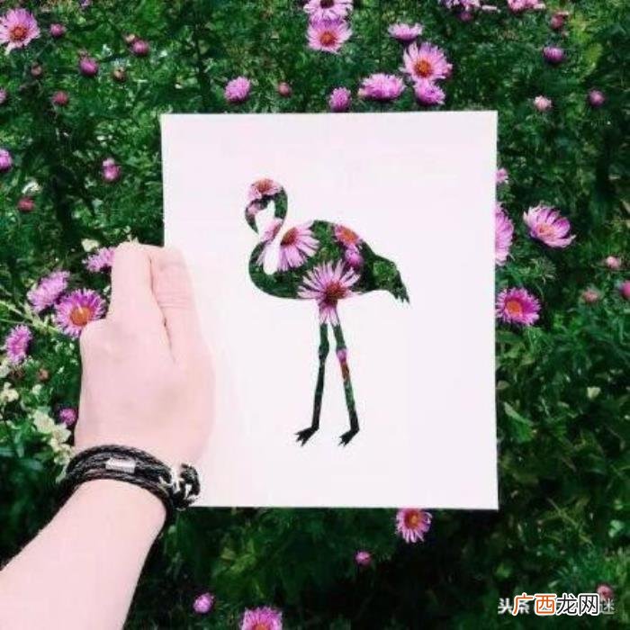 令女生非常感动的经典句子 让女生心动的话