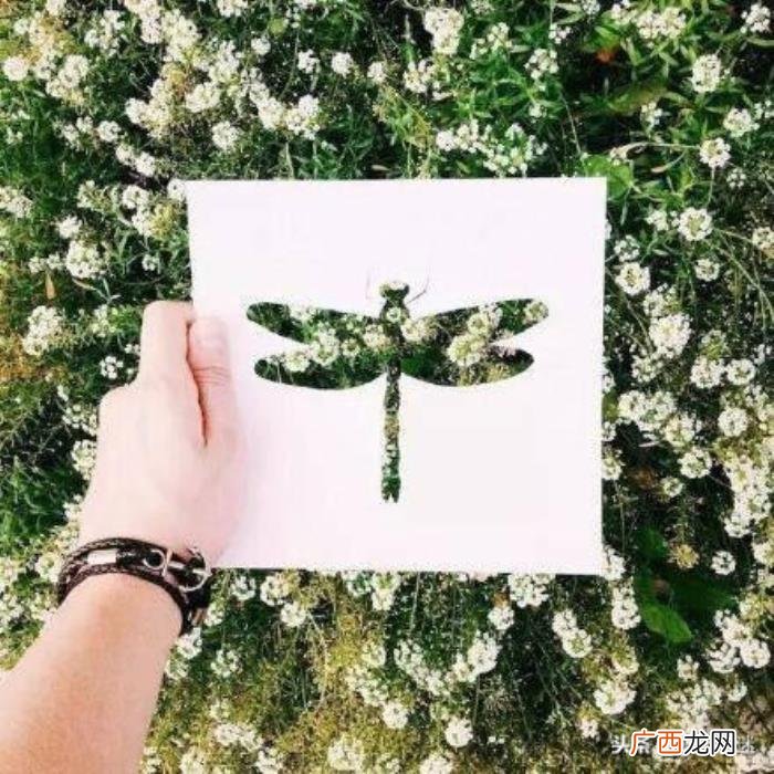 令女生非常感动的经典句子 让女生心动的话