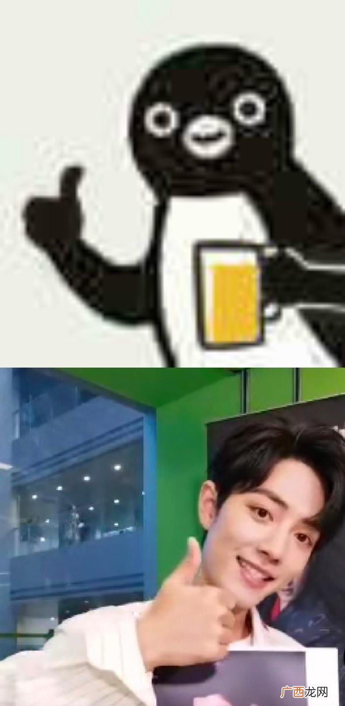 肖战企鹅梗，论肖战与他绿洲使用的企鹅表情包相似度