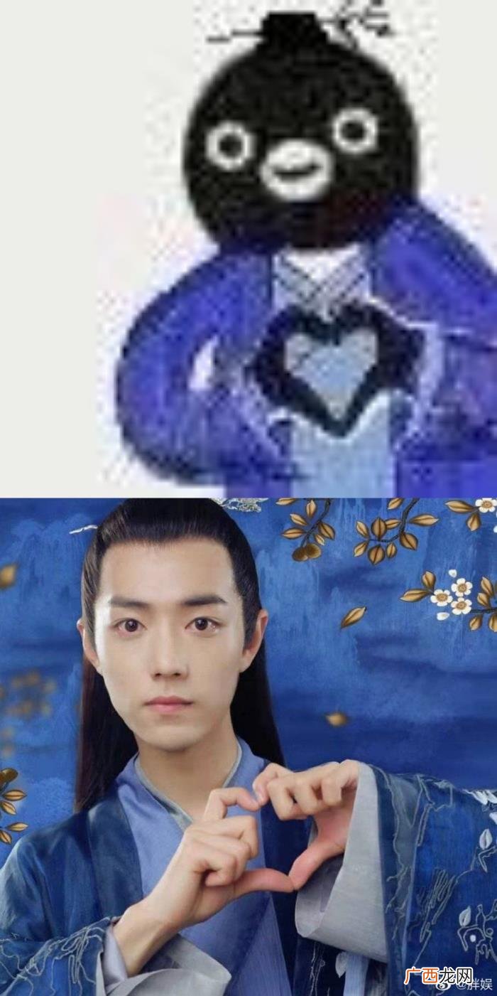 肖战企鹅梗，论肖战与他绿洲使用的企鹅表情包相似度