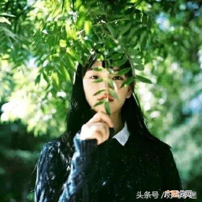 治愈失恋的心灵鸡汤经典语录 失恋语录