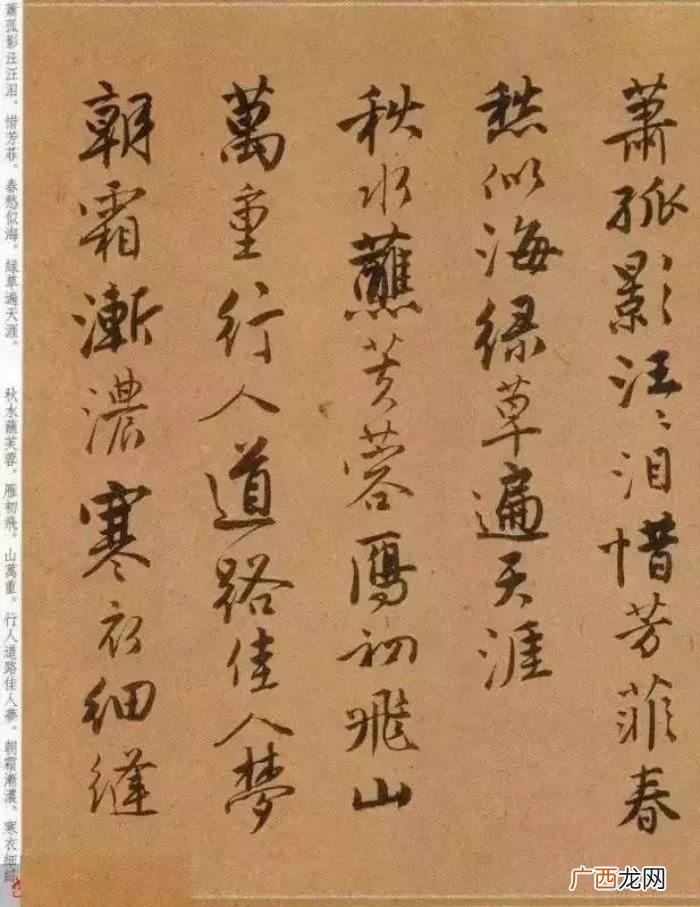 唐寅的诗词，看看风流才子唐寅笔下的书法与诗词