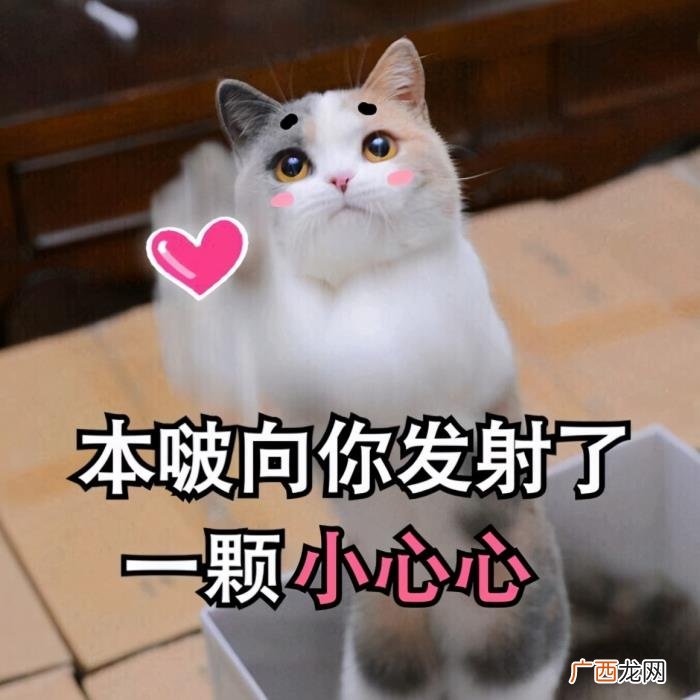 卖萌撒娇的可爱句子 女生撒娇的话大全肉麻