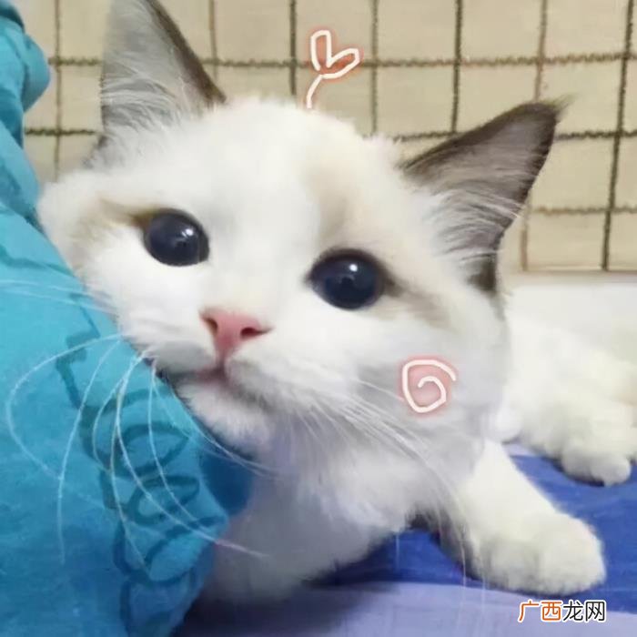 卖萌撒娇的可爱句子 女生撒娇的话大全肉麻