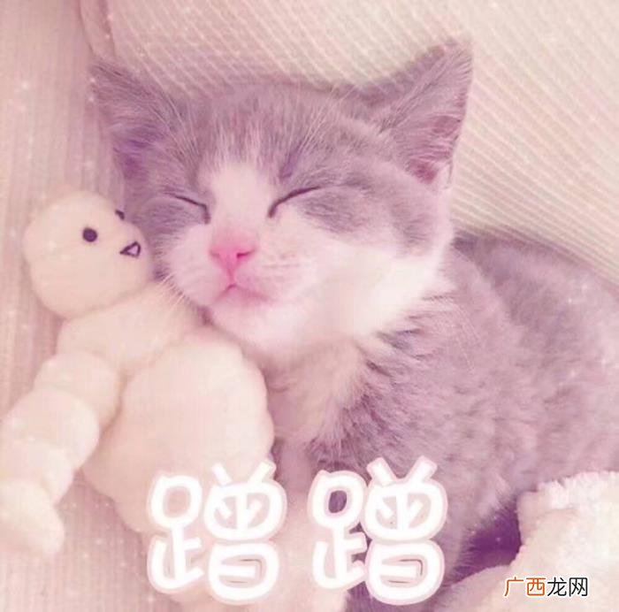 卖萌撒娇的可爱句子 女生撒娇的话大全肉麻