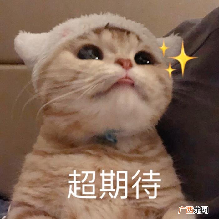 卖萌撒娇的可爱句子 女生撒娇的话大全肉麻