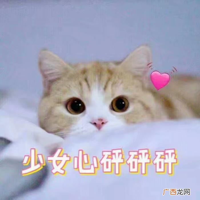 卖萌撒娇的可爱句子 女生撒娇的话大全肉麻