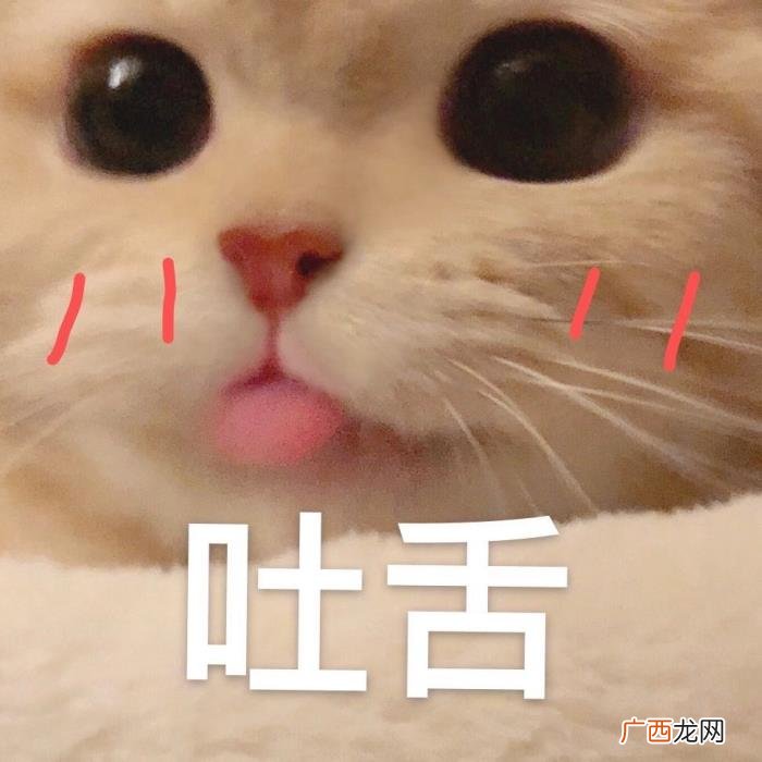 卖萌撒娇的可爱句子 女生撒娇的话大全肉麻