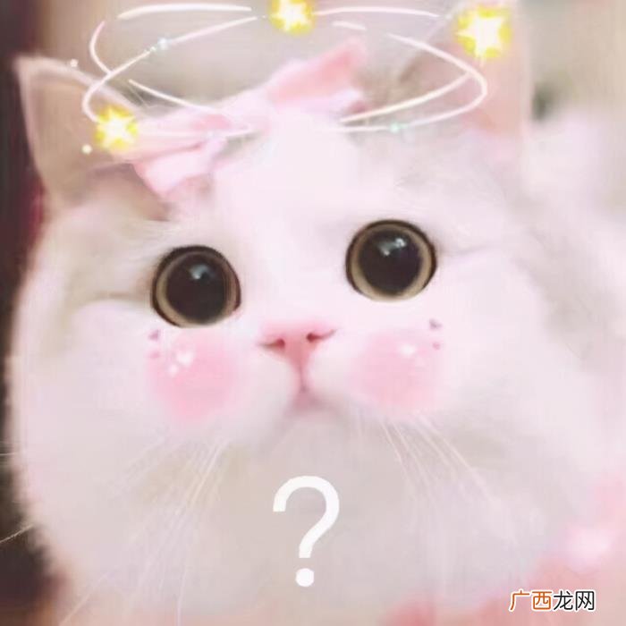 卖萌撒娇的可爱句子 女生撒娇的话大全肉麻
