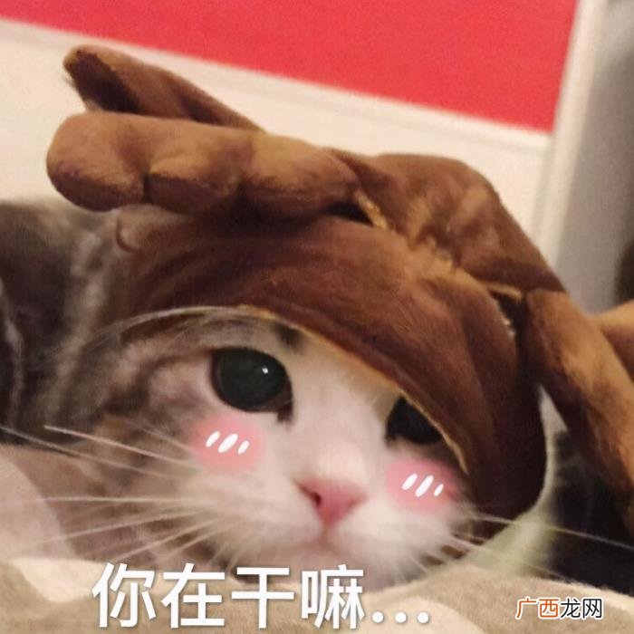 卖萌撒娇的可爱句子 女生撒娇的话大全肉麻