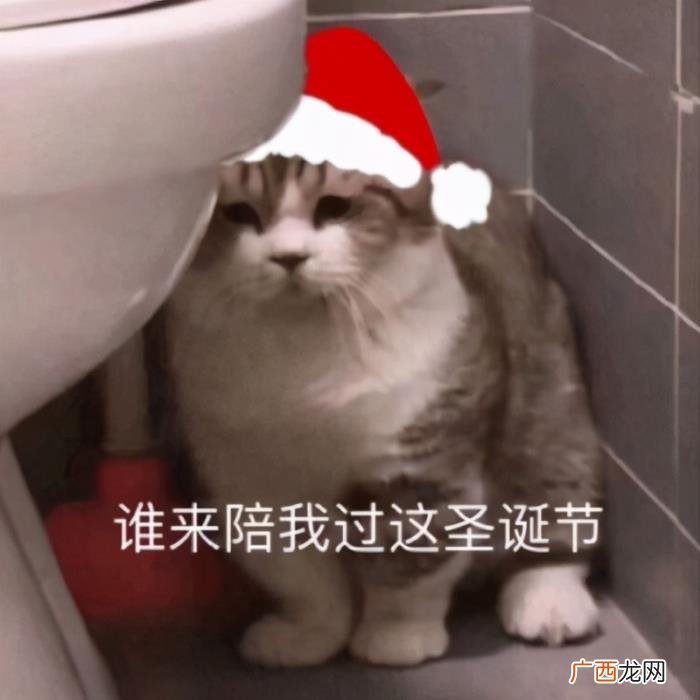 过圣诞节怎么发朋友圈文案 圣诞节朋友圈可爱文案