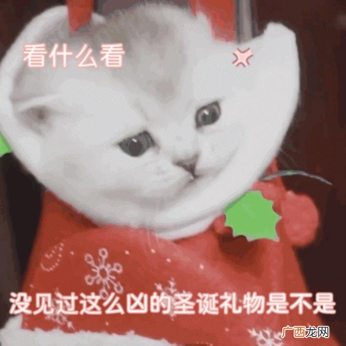 过圣诞节怎么发朋友圈文案 圣诞节朋友圈可爱文案