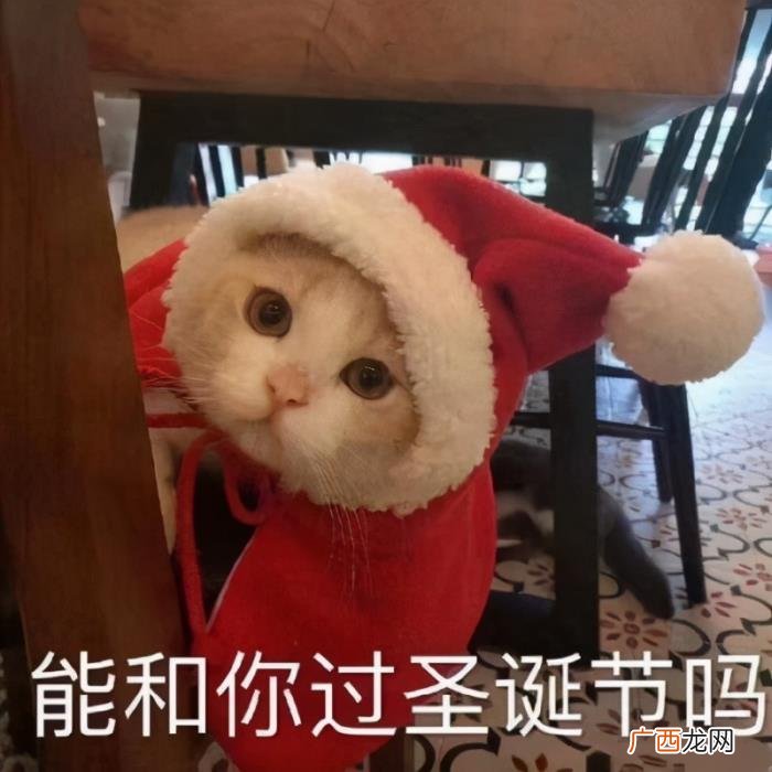 过圣诞节怎么发朋友圈文案 圣诞节朋友圈可爱文案