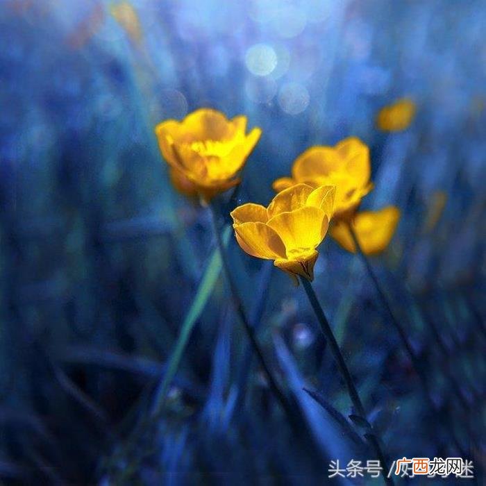 感性且不矫情的句子 感性的句子