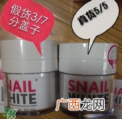snail white蜗牛霜真假怎么辨别?snail white蜗牛霜真假鉴别图