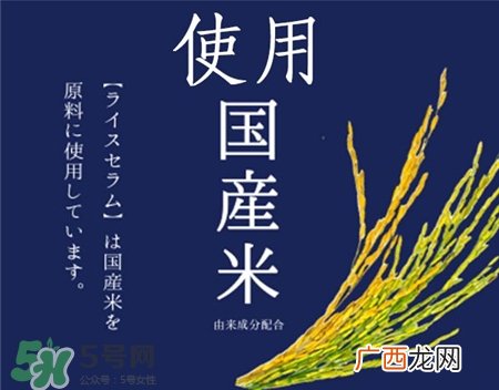 石泽研究所大米面膜好用吗?日本大米面膜怎么样?