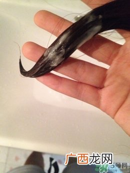 水之密语悦润至美 水之密语悦润至美洗发水