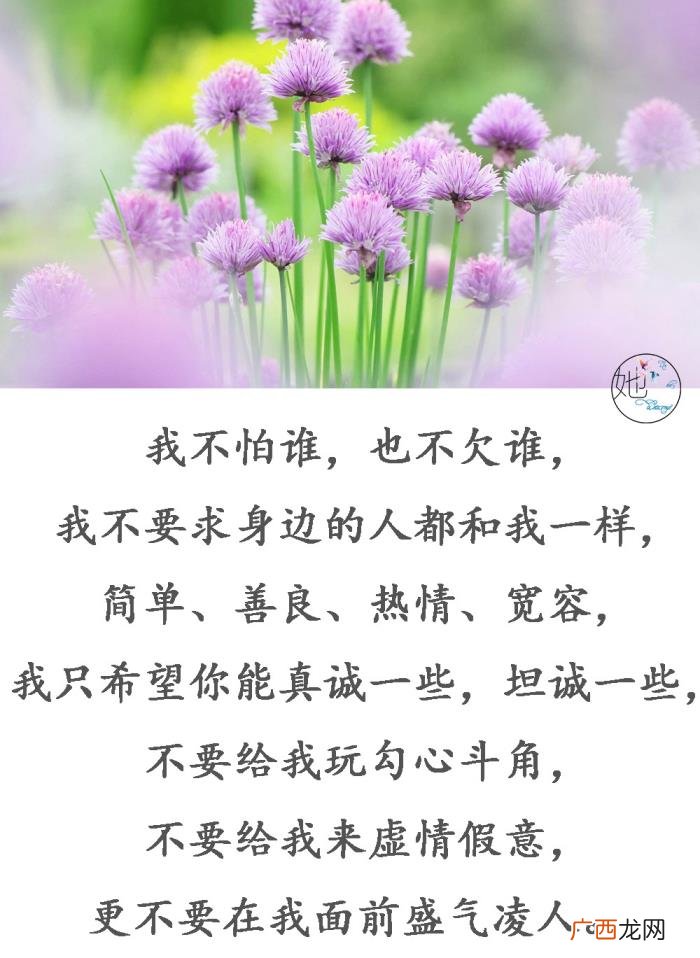 送给把我当傻子的人 把我当傻子的经典句子
