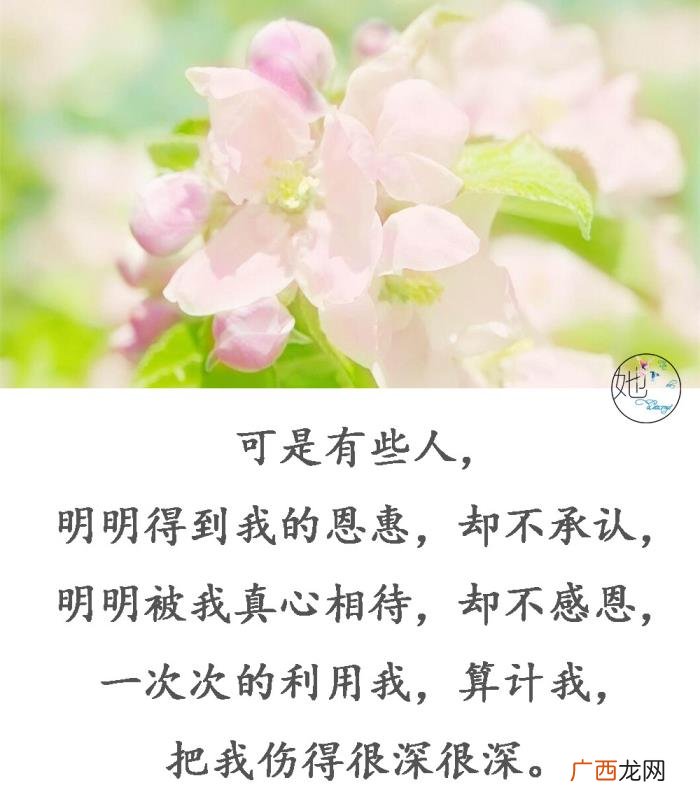 送给把我当傻子的人 把我当傻子的经典句子