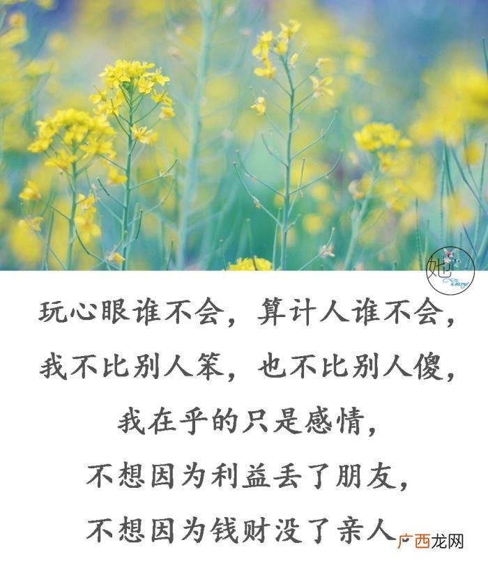 送给把我当傻子的人 把我当傻子的经典句子