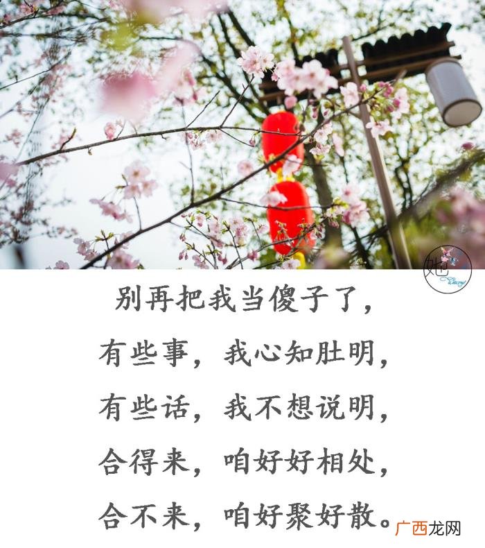 送给把我当傻子的人 把我当傻子的经典句子