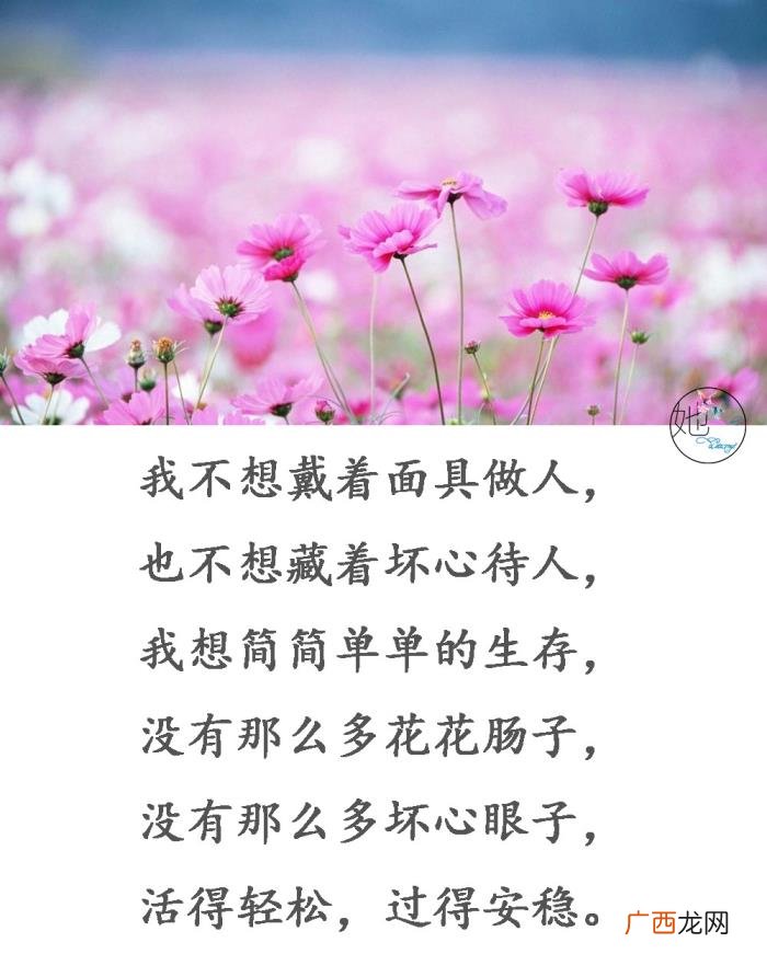 送给把我当傻子的人 把我当傻子的经典句子