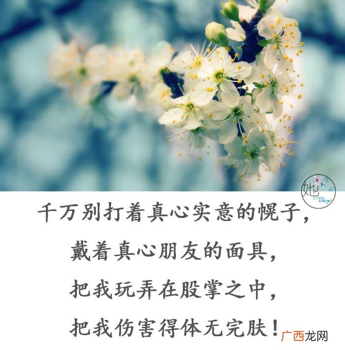 送给把我当傻子的人 把我当傻子的经典句子