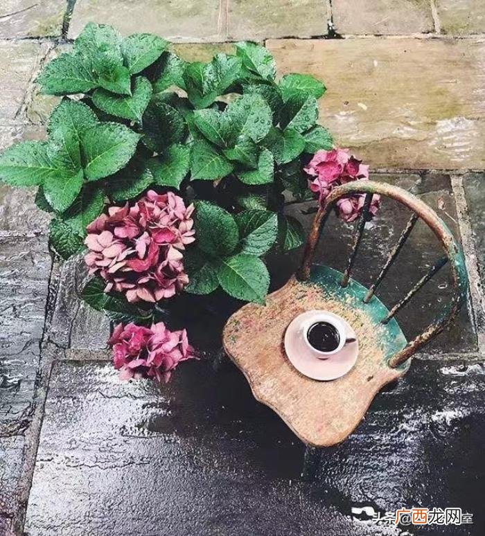 适合表白闺蜜的句子 闺蜜情话最暖心短句