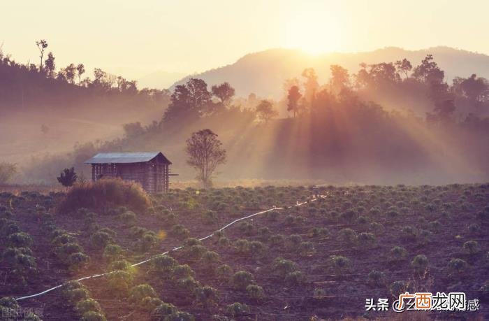 异地恋情侣常做这三件事 异地恋最关键的三件事