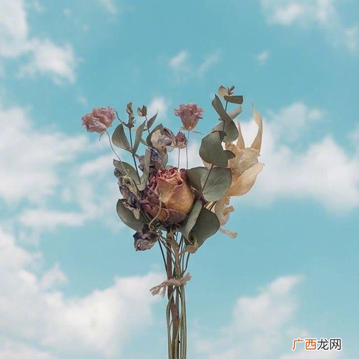 越看越有道理的句子 形容话有道理且精辟