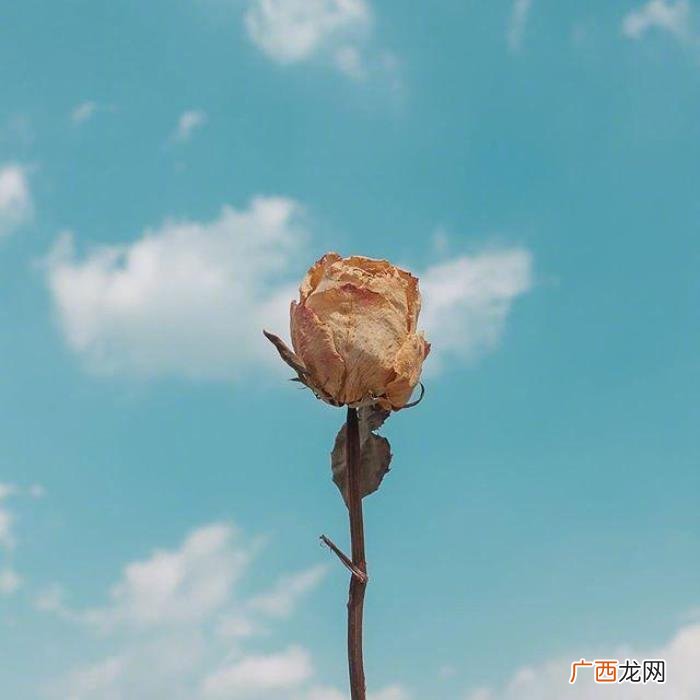 越看越有道理的句子 形容话有道理且精辟