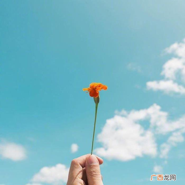 越看越有道理的句子 形容话有道理且精辟